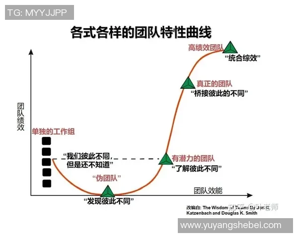 成都排球队在冠军赛中的强势表现与团队协作分析