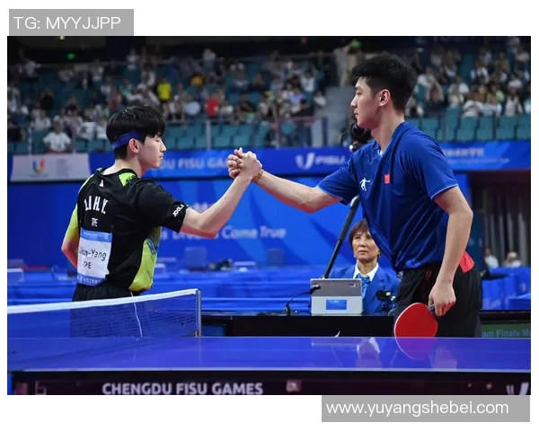 成都乒乓球队在比赛中的盯防策略分析与成效评估